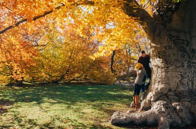 A hug under an autumn tree